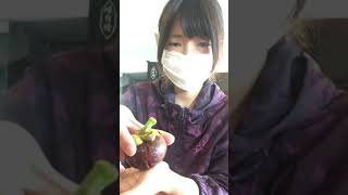 簡単！ナイフ要らず！マンゴスチンの皮むき方法 How to peel a mangosteen skin [upl. by Stratton]