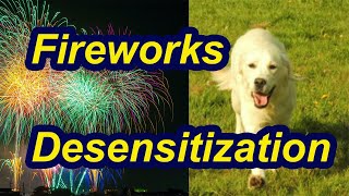 How to desensitize your dog to fireworks [upl. by Slaohcin597]