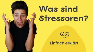 Stressoren Was gibt es für Stressoren 🤯 einfach erklärt mit Beispielen für Stressfaktoren [upl. by Ravaj177]