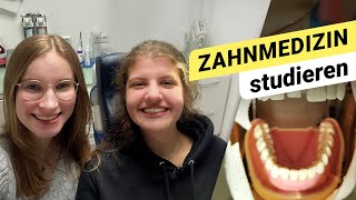 ZAHNMEDIZIN studieren So kommst du ins Studium und hältst durch [upl. by Manya]