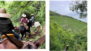 VIVÍ ALGO EXTREMO POR ENTRE BRECHAS Y VEREDAS DE TEGORIPA A SURUTATO 🌲🤠🌳🐴🎥 [upl. by Mcginnis745]