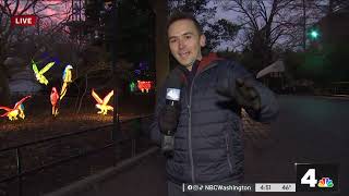 ZooLights illuminates Smithsonian National Zoo  NBC4 Washington [upl. by Caughey571]