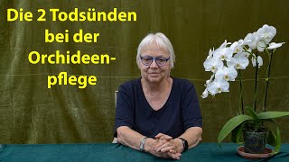 Orchideen Pflege richtig gemacht – Bei der Orchidee ist manchmal weniger mehr [upl. by Oirtemed541]