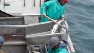 Longline Hake Fishing Offshore South Africa [upl. by Riem]