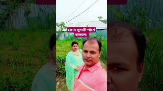 সেই মজা করলাম 9july travelblog newsongnewsong [upl. by Rellek]