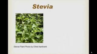 Food Label Secrets  Stevia and Thaumatin [upl. by Leopold]