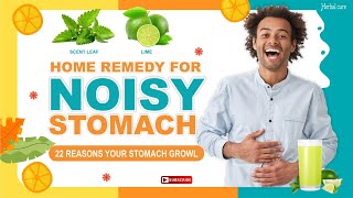 Home remedy for Noisy Stomach  Stomach Growling  Stomach Rumbling  Borborygmi [upl. by Brade]