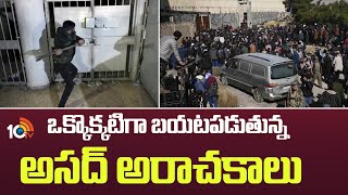 ఒక్కొక్కటిగా బయటపడుతున్న అసద్ అరాచకాలు  Syrian Rebels Free Thousands From Assads Saydnaya Prison [upl. by Ayanat436]