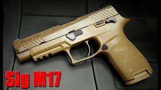 The Truth About The Sig Sauer M17 1000 Round Review [upl. by Doyle16]