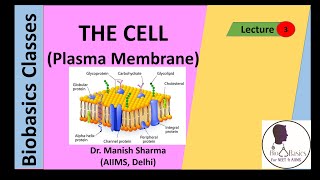 The Cell Plasma Membrane Chapter 8 NCERT [upl. by Nueoht]