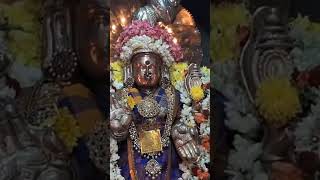 Sembakkam sri Taruni Tripurasundari NAVARATRI DHARSAN [upl. by Fonz]