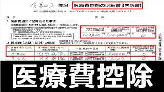 【申請すれば、税金が安くなる】医療費控除の明細書の書き方・確定申告の医療費控除を解説。 [upl. by Lowell]