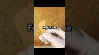 Vegan Feuilletine crisps youtubeshortsambrosia vegantreats veganbaking crispy plantbased [upl. by Capon]