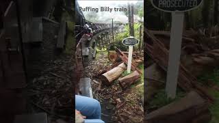 puffing Billypuffingbilly train belgravelakeside travel australia victoria travelaround [upl. by Dannye]