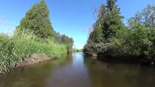 The Sturgeon River Cheboygan Country Michigan [upl. by Gavan]