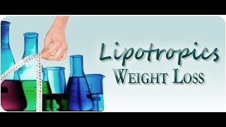 Lipotropics  Maximizing Weight Loss [upl. by Xavler]