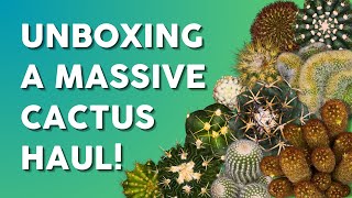 A Collectors Dream Unboxing Over 40 Unique Cacti 🌵 [upl. by Dalston]