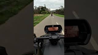 One lane bridge to one lane bridge blast Ryker 900GSXR750 NZ😁 [upl. by Kris]