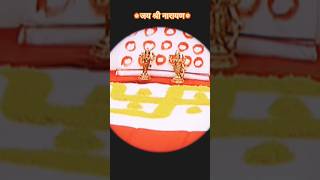 देवउठान Ekadashi kya hai ❓ 🤔 jaishreeram laxminarayan ekadashi shorts sanatandharma [upl. by Hallerson]