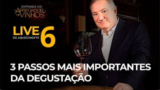 🍷 3 passos mais importantes da degustação [upl. by Wulfe]