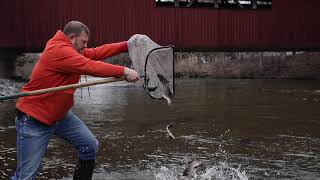 Trout stocking Pennsylvania trout fishing season 2019 [upl. by Ulphi]