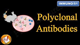 Polyclonal Antibodies FLImmuno51 [upl. by Emyaj908]