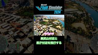 【フライトシミュレーター2024】那覇上空 shorts flightsimulator [upl. by Angelita]