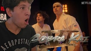 Cobra Kai Season 6 Part 2 official trailer reaction [upl. by Ahsieuqal]