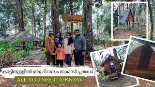 One Night Stay At forest  Low budget Stay  Wild Vibes  Wayanad Kerala Full Guide to Follow [upl. by Danas]