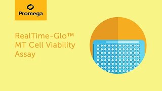 The RealTimeGlo MT cell viability assay  monitoring cell viability over time in the same well [upl. by Yellhsa]