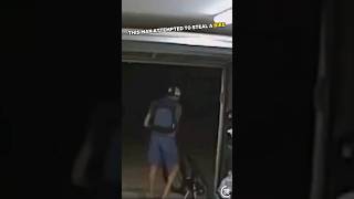 Dog interrupts thief in garage 🤯 [upl. by Tannie]