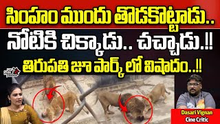 Lion Attack At Tirupati Zoo Park  Lion Attack Incident In AP  AP Latest News  Wild Wolf Telugu [upl. by Jordanson]