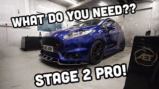 FIESTA ST STAGE 2 WHAT YOU NEED TWO MINUTE TUESDAY [upl. by Ainud]