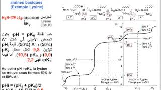 Lysine acide aminé Ionisation تأين و معايرة الحمض الأميني الليزين [upl. by Esinyl256]