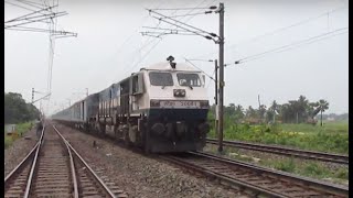 12042  NJP Shatabdi Express at Flat 130 Kmph  Classic WDP4 High Speed Action [upl. by Herries]