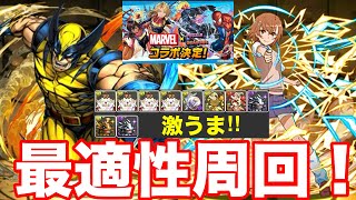 【パズドラ】ウルヴァリンを使ったマーベルコロシアムは報酬激うまで周回超簡単！ [upl. by Areic]