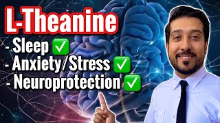 LTheanine Does This to Your BRAIN  How to Take LTheanine CORRECTLY [upl. by Oiramat]