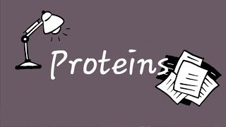 Proteins Biochemistry تحليلات مرحلة ثانية  Lecture 5 [upl. by Duster]