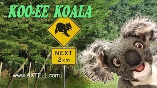 KOALA PUPPET by Axtell Expressions [upl. by Jovita]