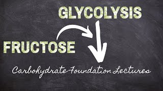 Fructose Entry to Glycolysis  Part 11 Carbohydrate Foundations  Macronutrients Lecture 57 [upl. by Arlon101]