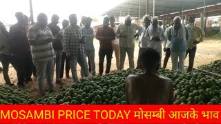 MOSAMBI PRICE TODAY MOSAMBI मार्किट भाव आजके जालना मार्किट [upl. by Joliet]