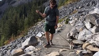 Honey Bee Blind Cat Goes Hiking [upl. by Gothard]