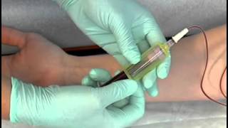 Sample Procedure  Venipuncture Butterfly Method [upl. by Alyakcim]