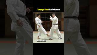 Attacks your shin with a kick Intense technique of traditional karate [upl. by Yensehc]