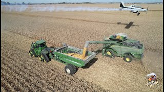 CORN HARVEST 2022 with 3 JOHN DEERE X9 Combines [upl. by Goulden]