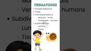 What are trematodes parasitology trendingshorts flatworm medzukhruf microbiology [upl. by Ahsiyt]