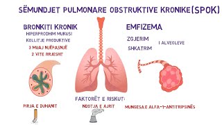 Bronkiti kronik dhe Emfizema  Patofiziologjia amp Patologjia [upl. by Toddie]