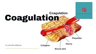 Coagulation [upl. by Aliahkim432]