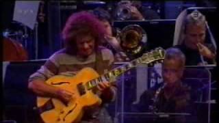 Pat Metheny  Minuano [upl. by Acimat184]