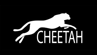 CheetahStand Cheetah Light CL200X Kit and Combo DealGodox AD200 [upl. by Nivak]